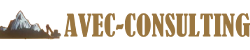 AVEC_CONSULTING