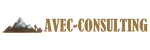 AVEC_CONSULTING
